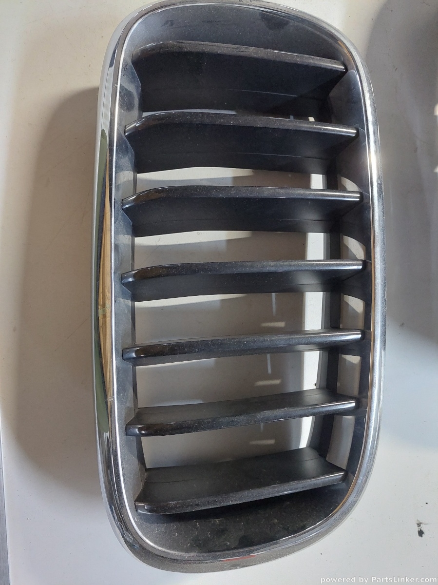 Grila bara BMW X6 (F16, F86) [ 2014 - > ] OEM 7316075 – foto 2