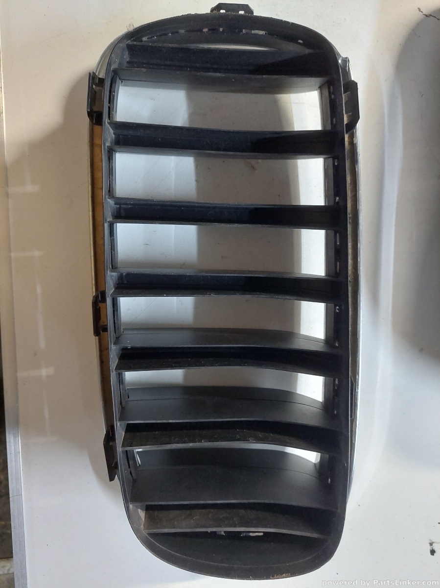 Grila bara BMW X6 (F16, F86) [ 2014 - > ] OEM 7316075 – foto 3