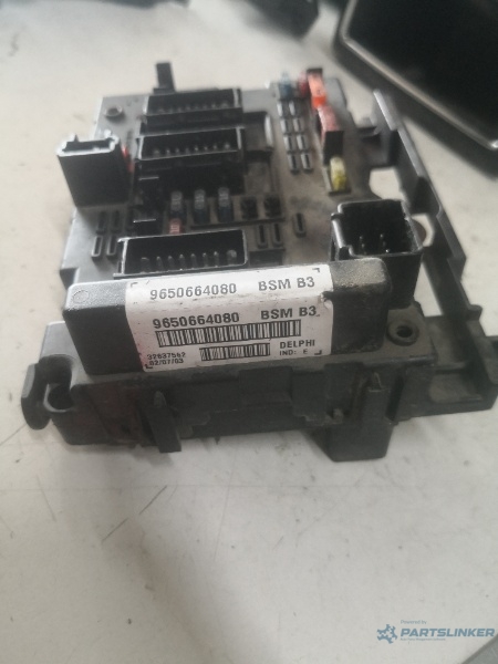 Panou sigurante PEUGEOT 307 SW (3H) [ 2002 - 2009 ] OEM 9650664080 – foto 2