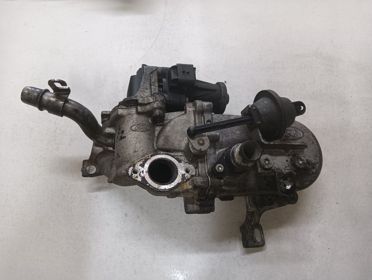 Racitor gaze cu egr FORD FIESTA VII 2017 - > 1.5 TDCi XUJC, XUJD, XUJE, XUJF, XUJG, XUJK, XUJL, XUJM, XUJN, XVJE 5056390800