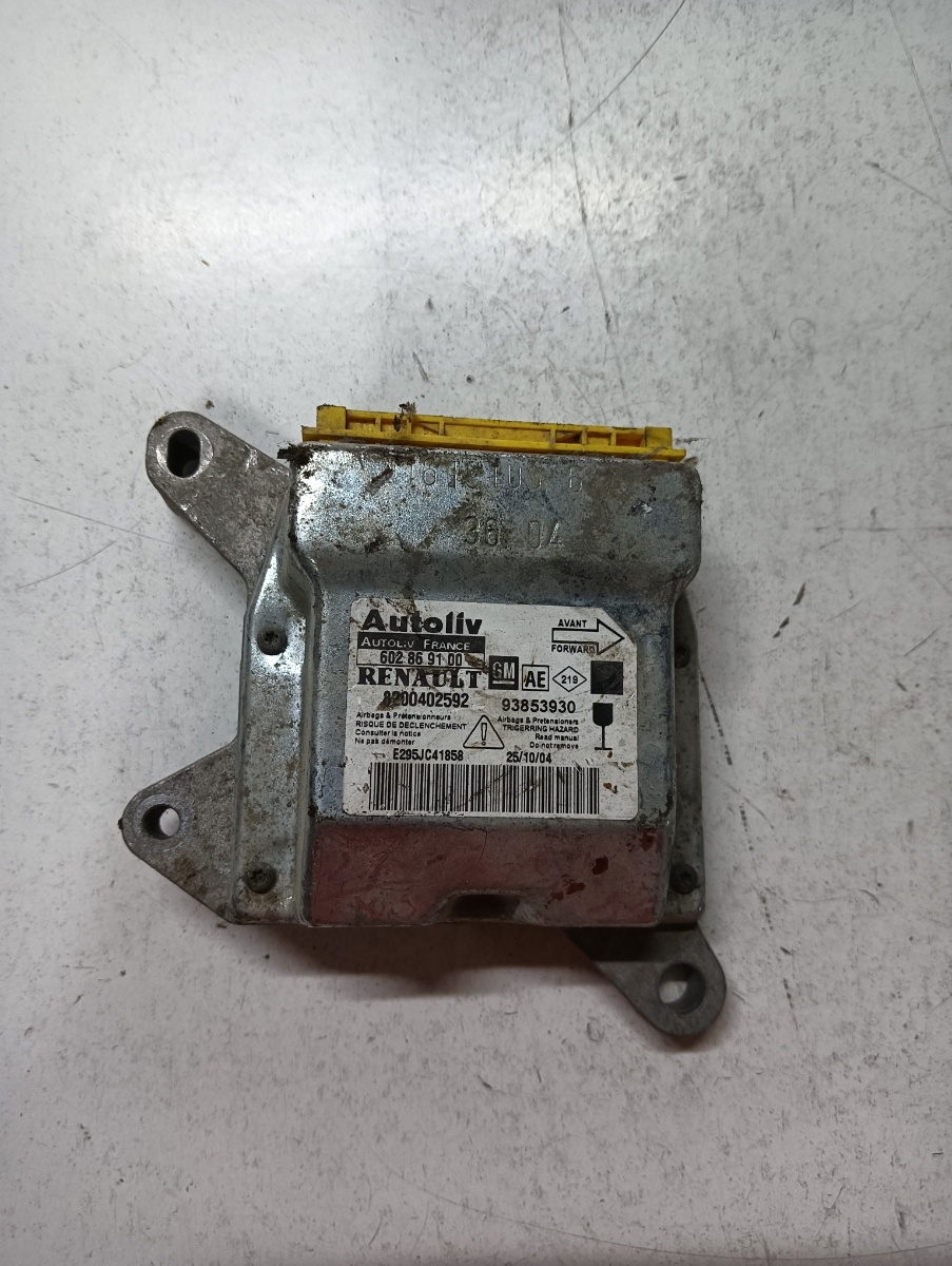Calculator airbag  RENAULT TRAFIC II Box FL 2001 - > 602869100