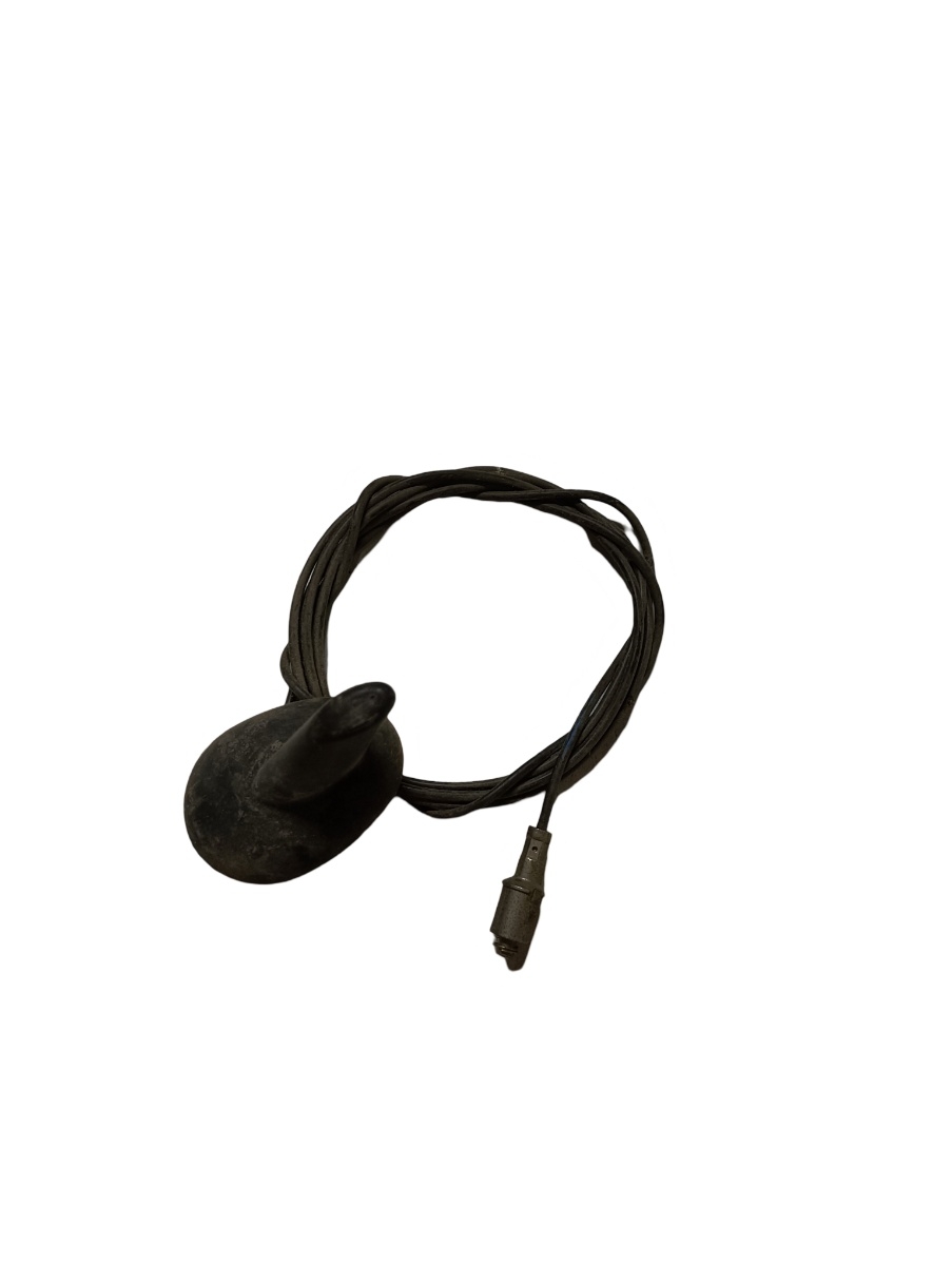 Antena radio RENAULT LAGUNA II BG0/1_ 2001 - 2007
