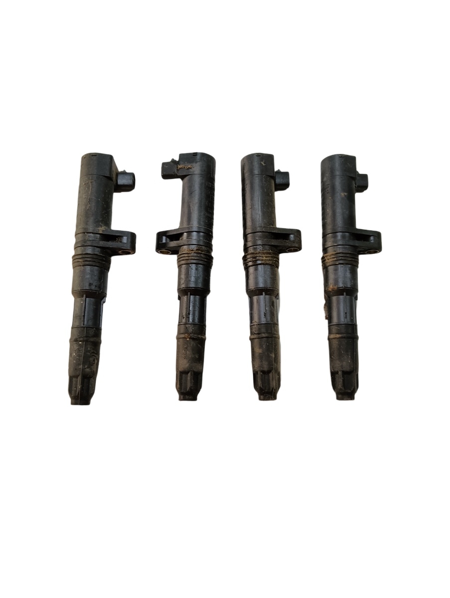Set Bobine inductie  DACIA DUSTER 2010 - > 1.6 16V K4M 690, K4M 696