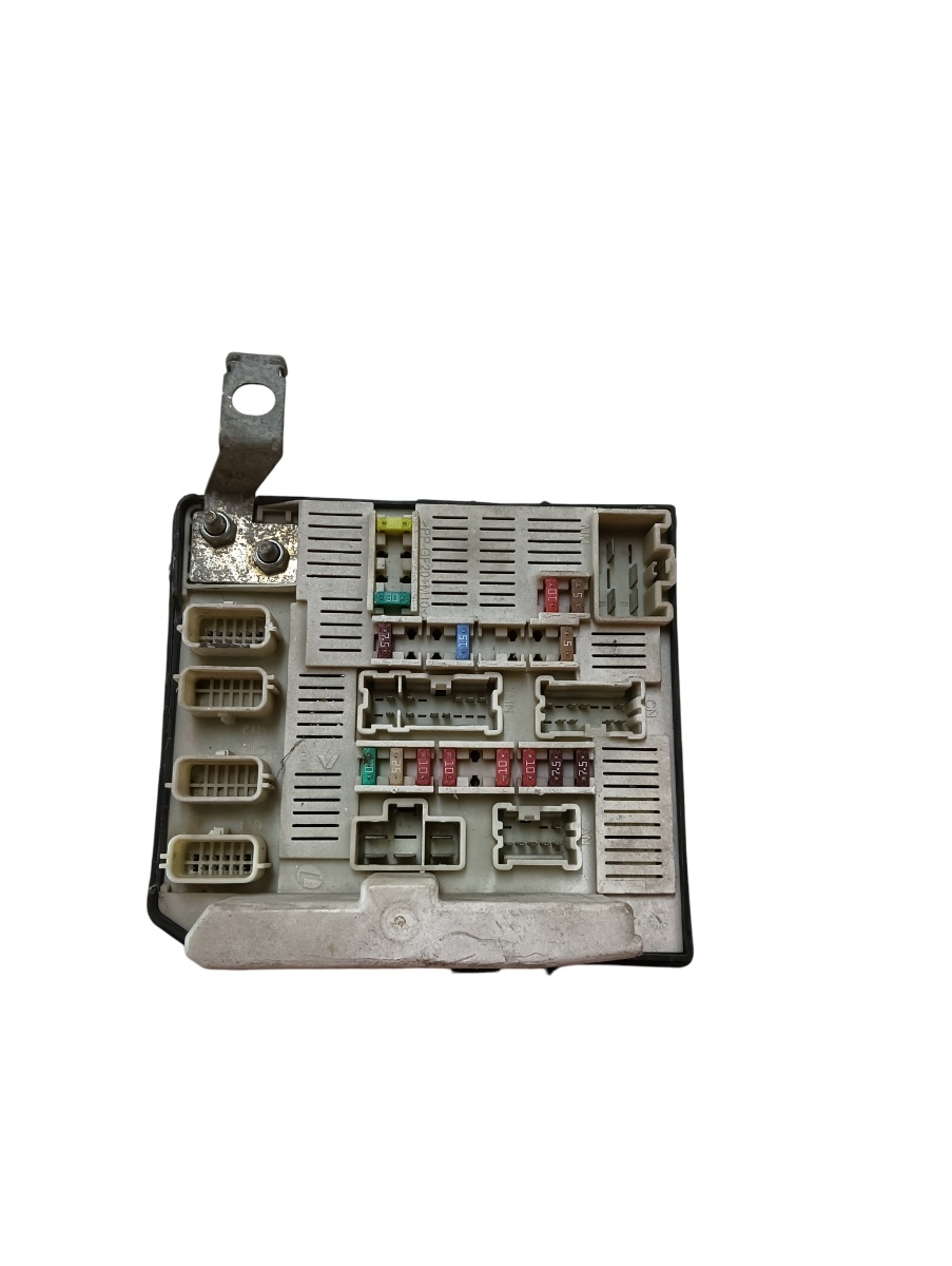 Panou sigurante RENAULT KANGOO Express FW0/1_ 2008 - > 519219208