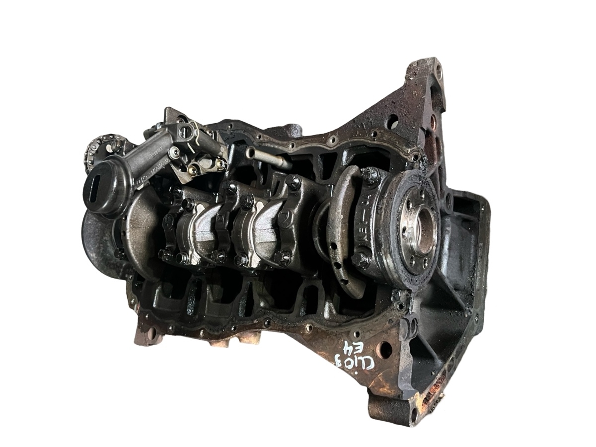 Bloc motor RENAULT CLIO III BR0/1, CR0/1 2005 - > 1.5 dCi K9K 764, K9K 774