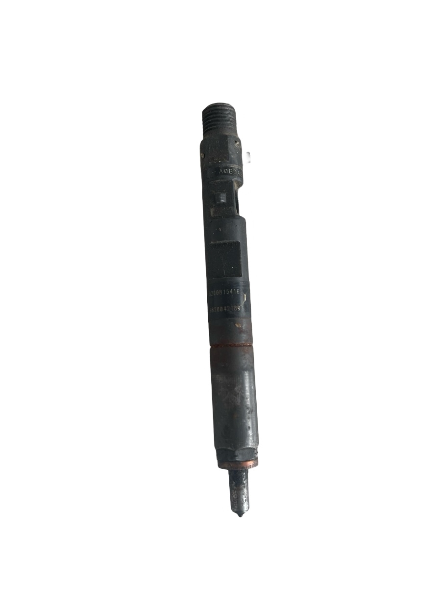 Injector combustibil RENAULT MEGANE II BM0/1_, CM0/1_ 2001 - 2012 H8200421897