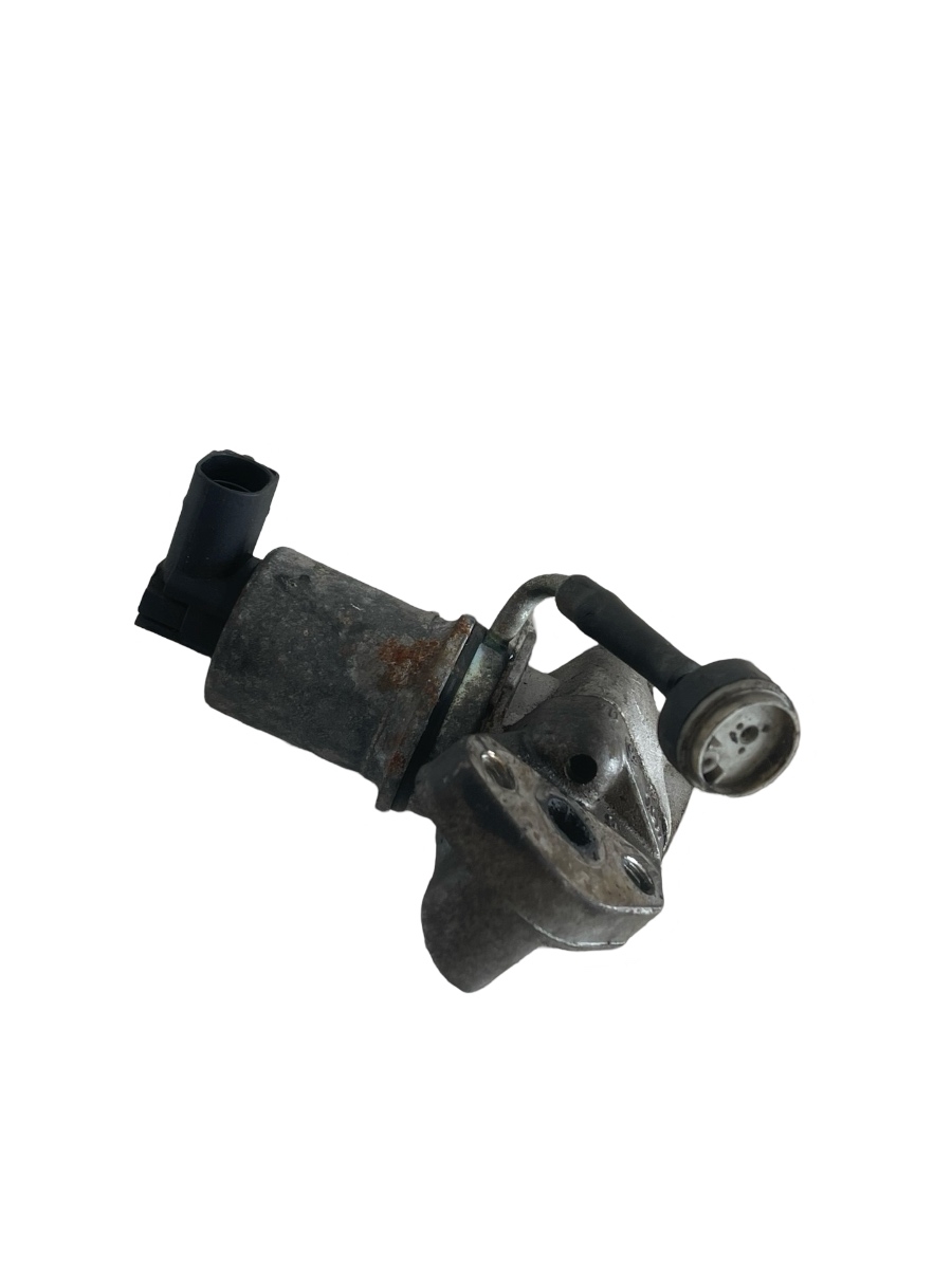 Supapa EGR VOLKSWAGEN GOLF V 1K1 2003 - 2009 1.4 16V BCA 036131818