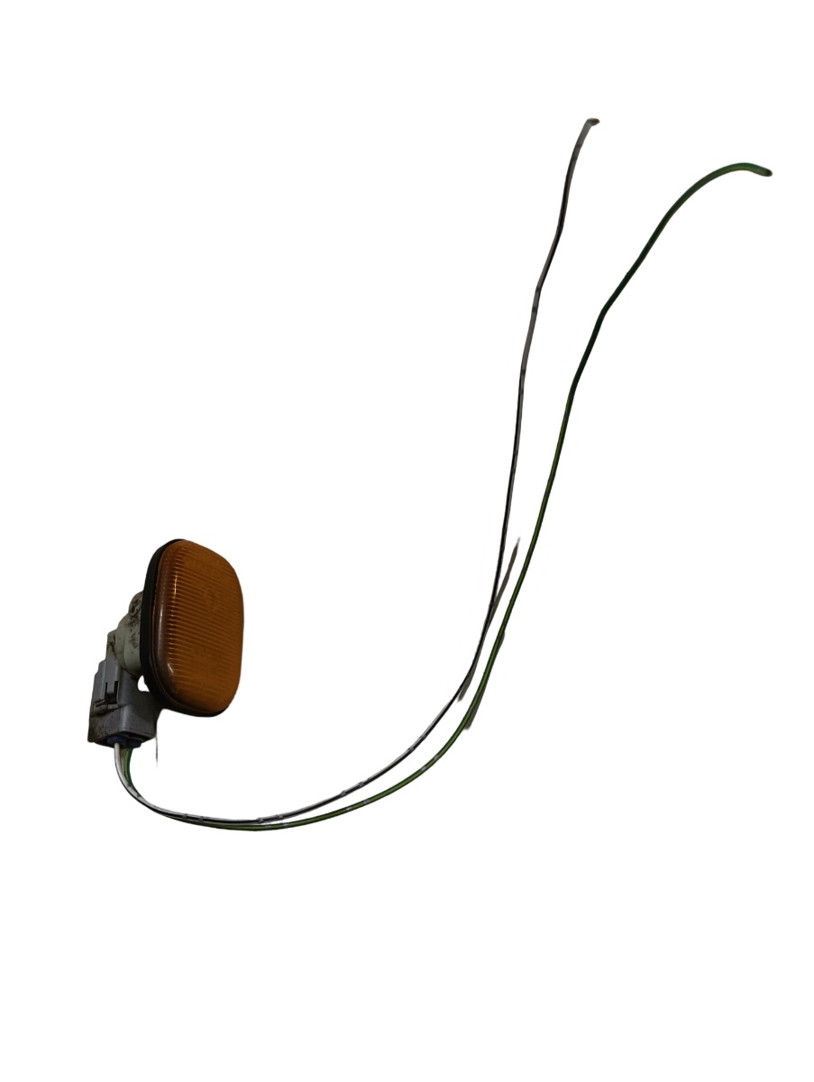 Semnalizare  TOYOTA RAV 4 II _A2_ 2000 - 2005