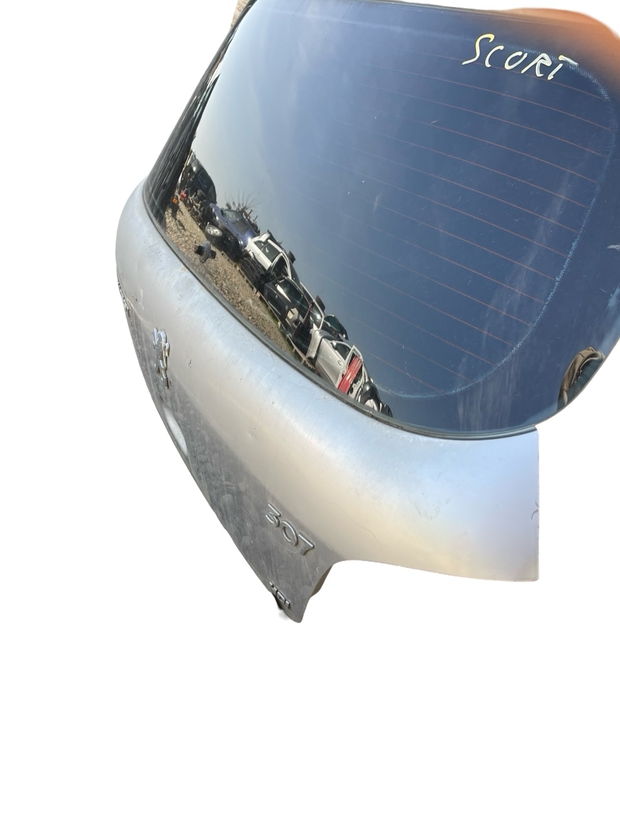 Haion portbagaj PEUGEOT 307 3A/C 2000 - > HATCHBACK – foto 4