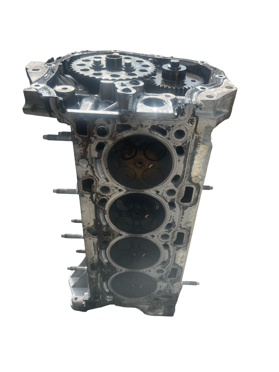 Chiulasa motor RENAULT KOLEOS II 2016 - > 2.0 dCi 175 4WD M9R 868 130C09547R