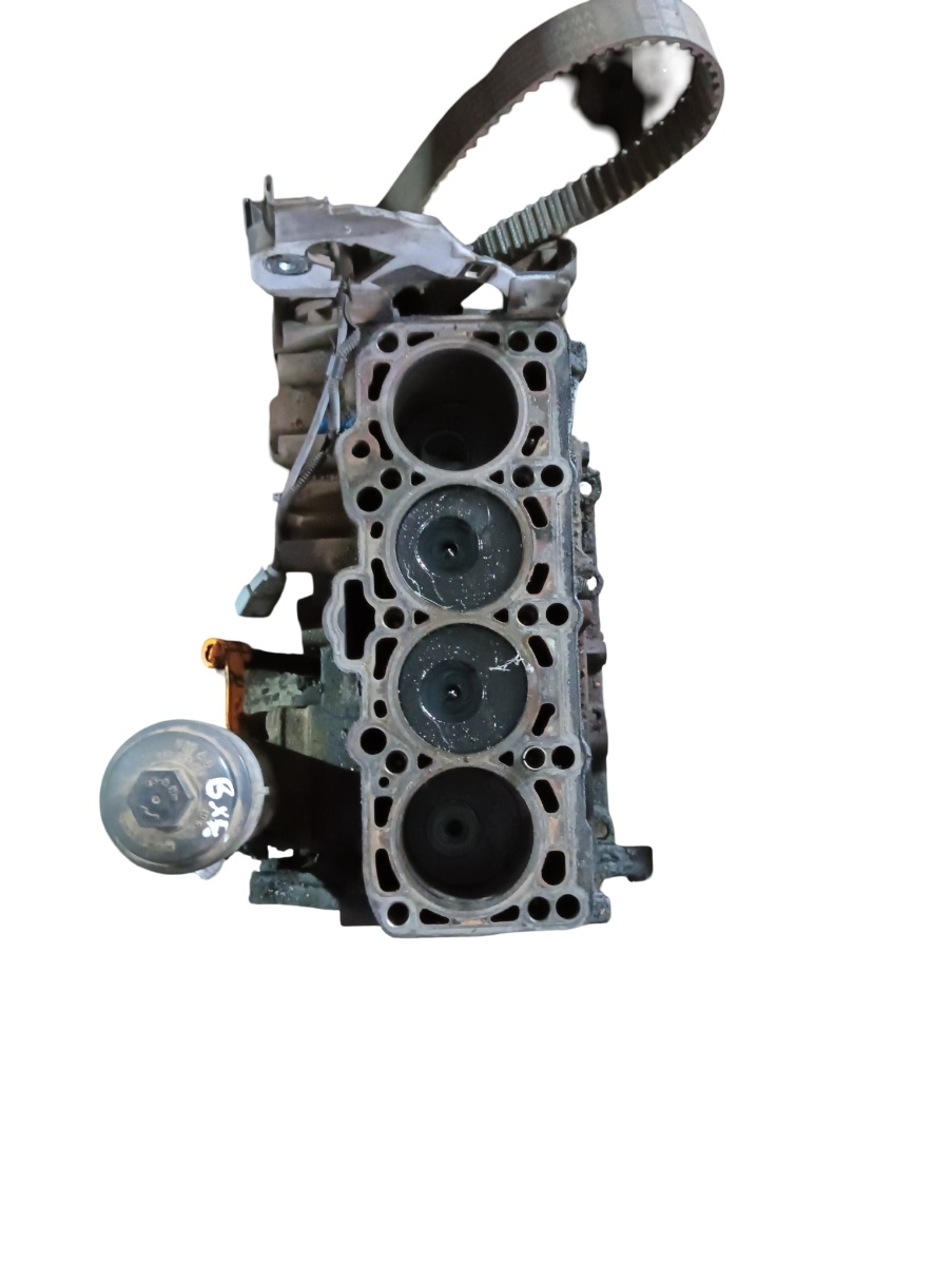 Bloc motor VOLKSWAGEN GOLF V 1K1 2003 - 2009 1.9 TDI BKC, BXE – foto 2