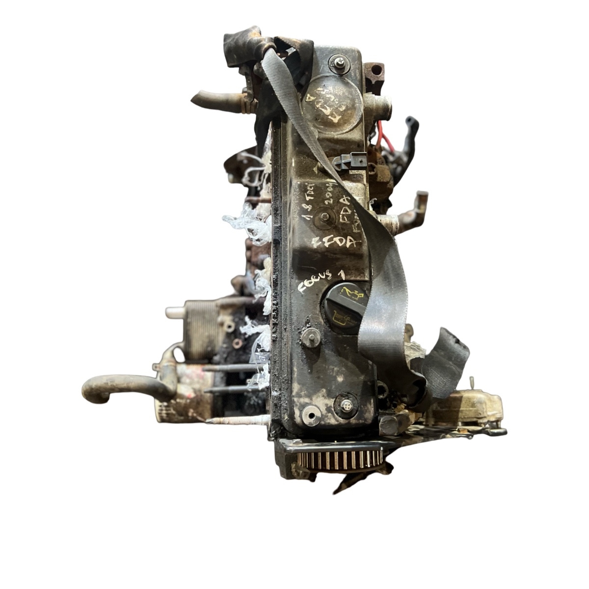 Motor FORD FOCUS Hatchback  DAW, DBW 1998 - 2007 1.8 TDCi FFDA FFDA – foto 2