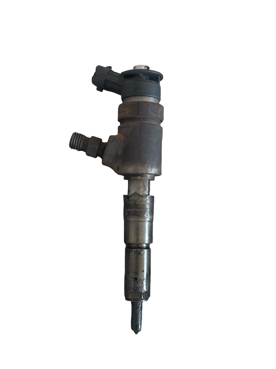 Injector combustibil FORD FIESTA V JH_, JD_ 2001 - 2010 1.4TDCI 0445110135
