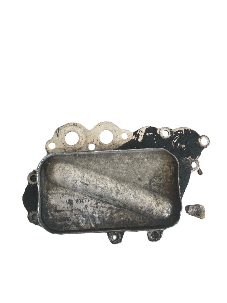 Termoflot MERCEDES-BENZ A-CLASS II W169 2004 - 2012 A6401800765
