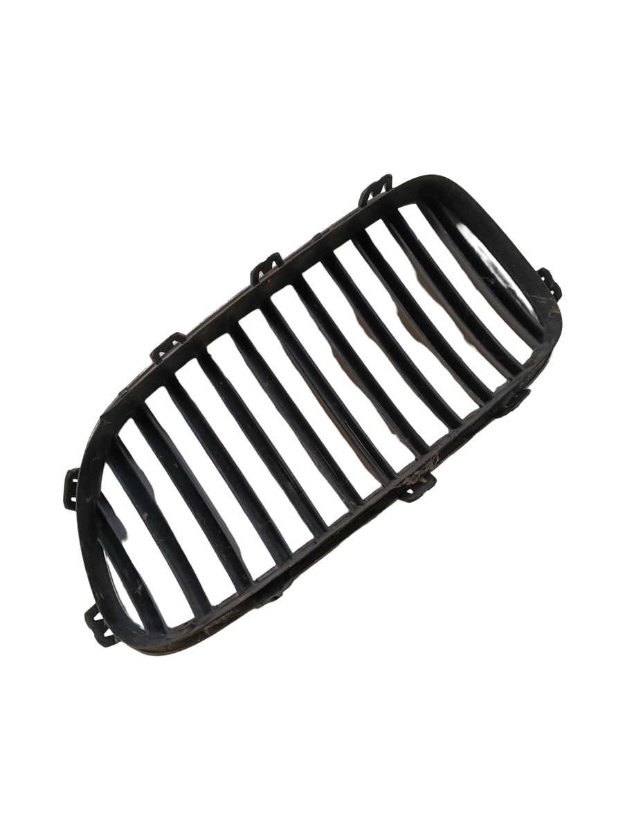 Grila fata BMW 5 F10 2009 - 2016