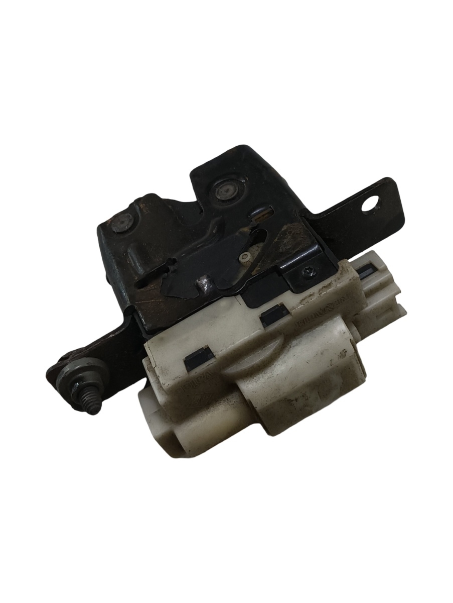 Broasca hayon/portbagaj RENAULT MEGANE II BM0/1_, CM0/1_ 2001 - 2012