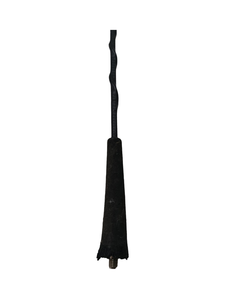 Antena radio RENAULT MEGANE II BM0/1_, CM0/1_ 2001 - 2012