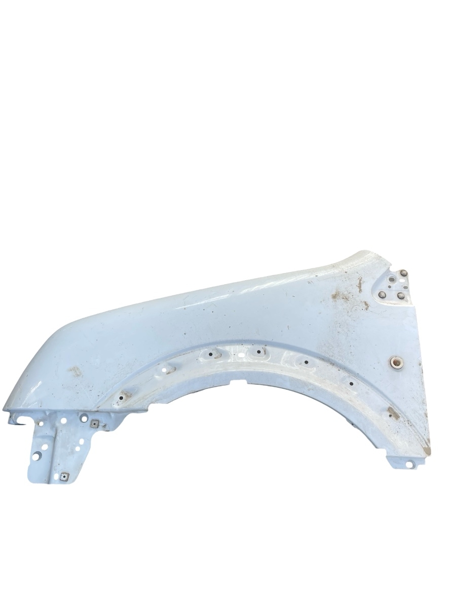 Aripa stanga fata FORD TRANSIT CONNECT P65_, P70_, P80_ 2002 - >