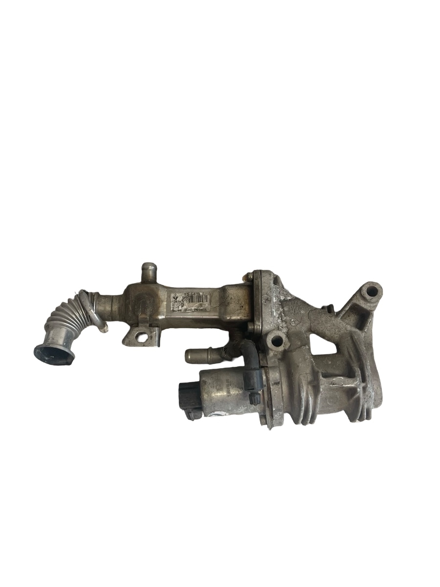 Racitor gaze + EGR RENAULT SCENIC II JM0/1_ 2003 - > 1.9DCI 20007506