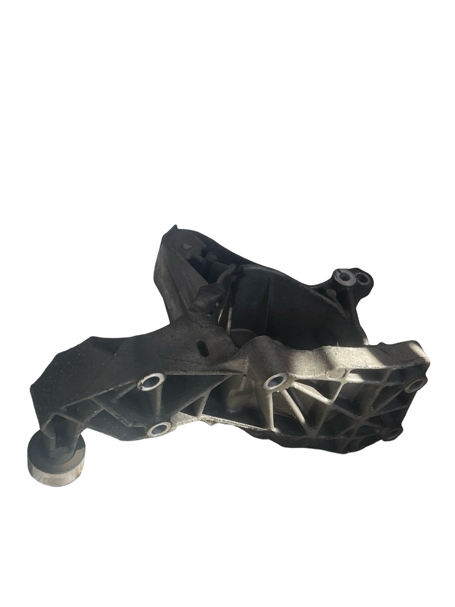 Suport accesorii RENAULT MEGANE I BA0/1_ 1995 - 2004 1.9 dCi F9Q 732, F9Q 733