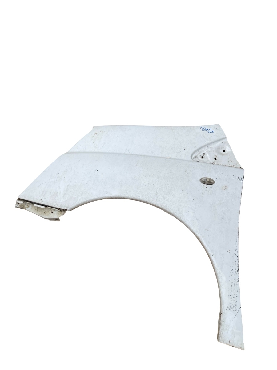 Aripa stanga fata PEUGEOT EXPERT Platform/Chassis 2007 - >