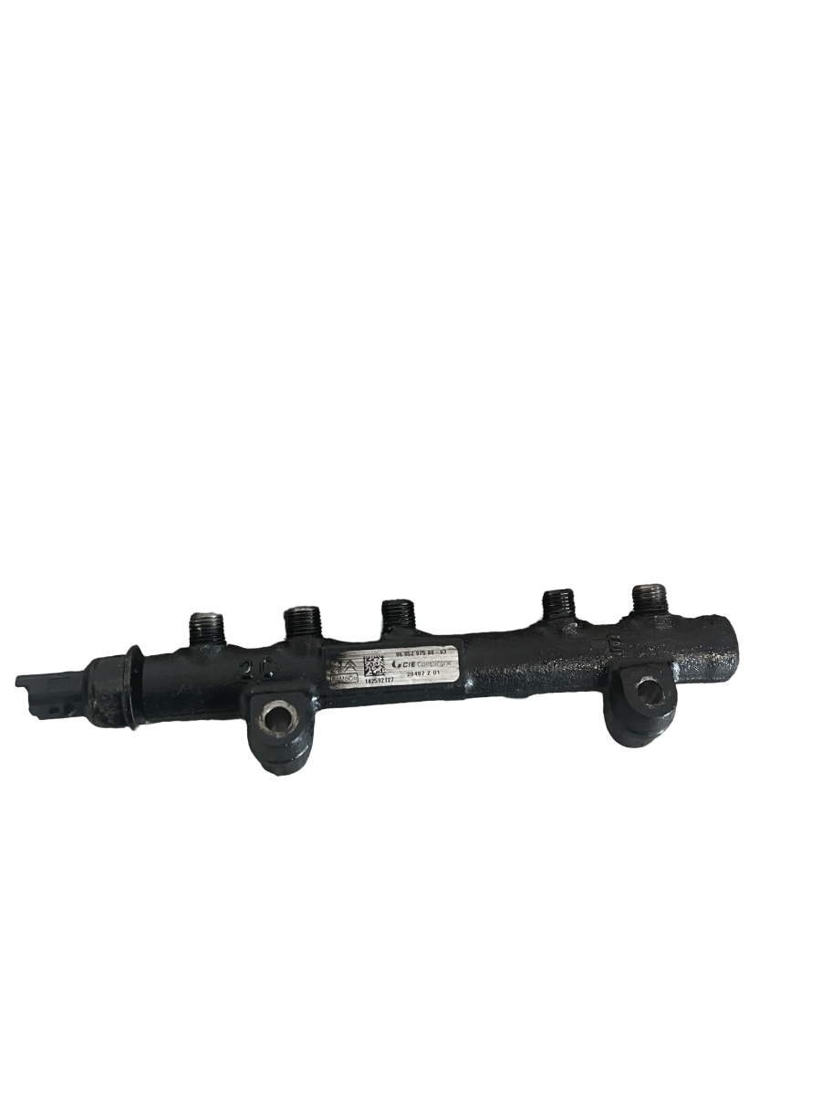 Rampa Injectoare FORD C-MAX II DXA/CB7, DXA/CEU 2010 - > 1.6 TDCi T1DA, T1DB 9685297580