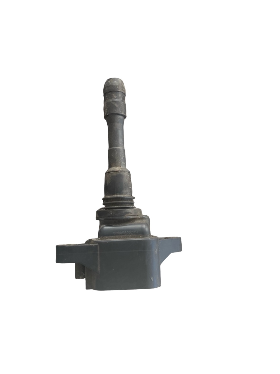 Bobina inductiee RENAULT SCENIC III JZ0/1_ 2008 1.4 tce - > 224337085R