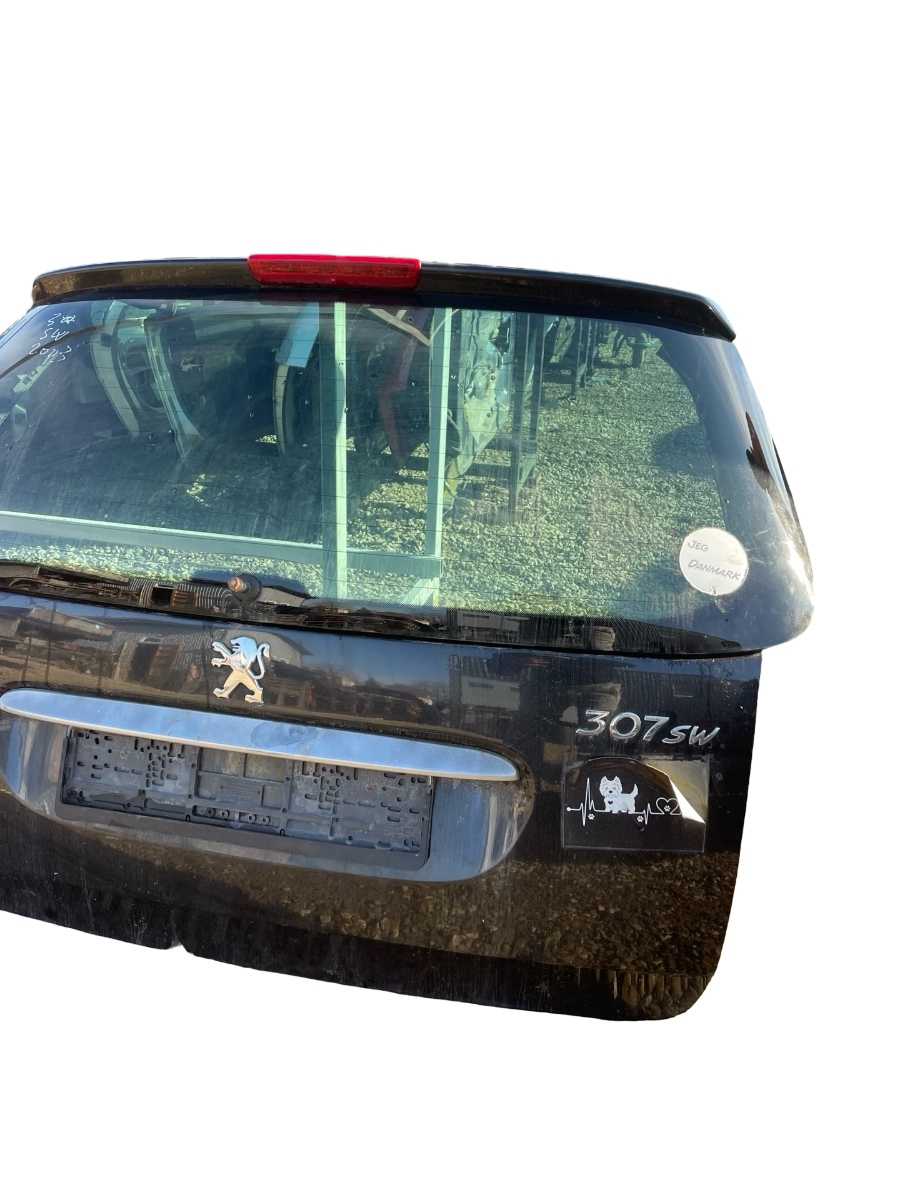 Haion portbagaj PEUGEOT 307 SW 3H 2002 - 2009 – foto 2