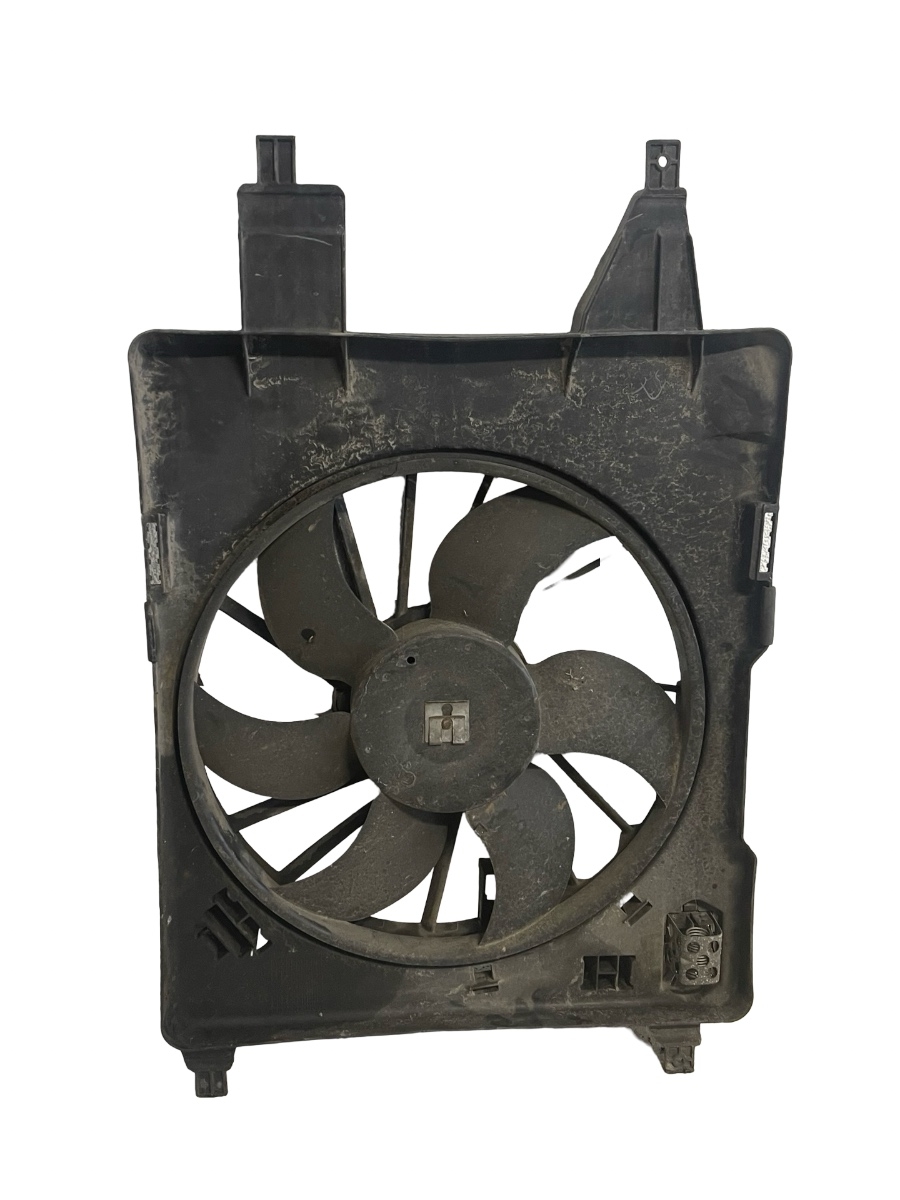 Electroventilator RENAULT MEGANE II BM0/1_, CM0/1_ 2001 - 2012 1.6i 8200680826