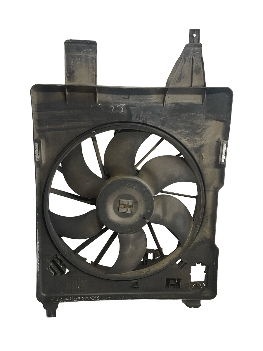 Electroventilator RENAULT MEGANE II BM0/1_, CM0/1_ 2001 - 2012 1.9DCI 8200222998 – foto 2