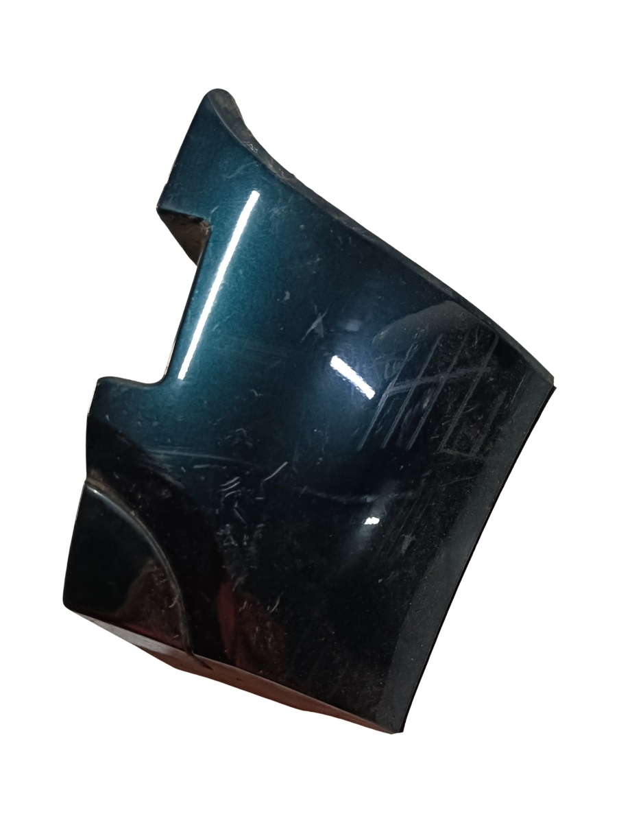 Ornamente prag spate RENAULT SCENIC I JA0/1_, FA0_ 1999 - 2003 97033s43
