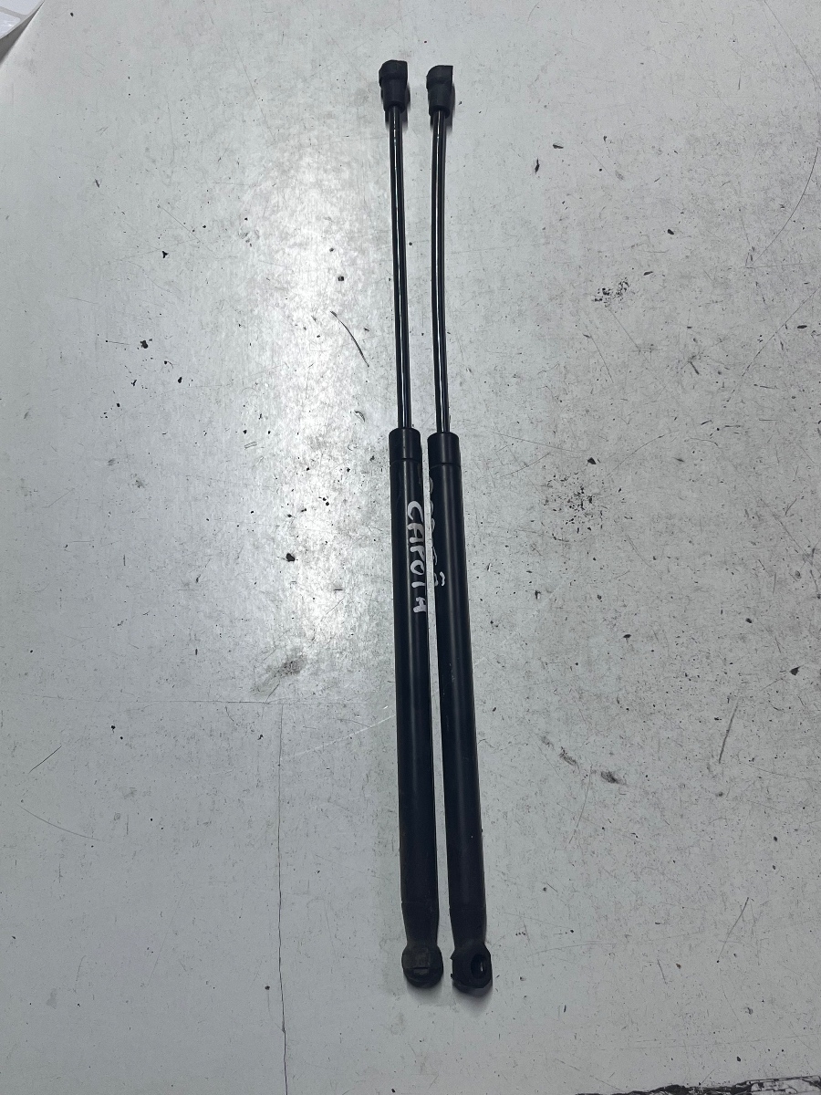 Set Amortizoare capota fata JEEP GRAND CHEROKEE II WJ, WG 1998 - 2005