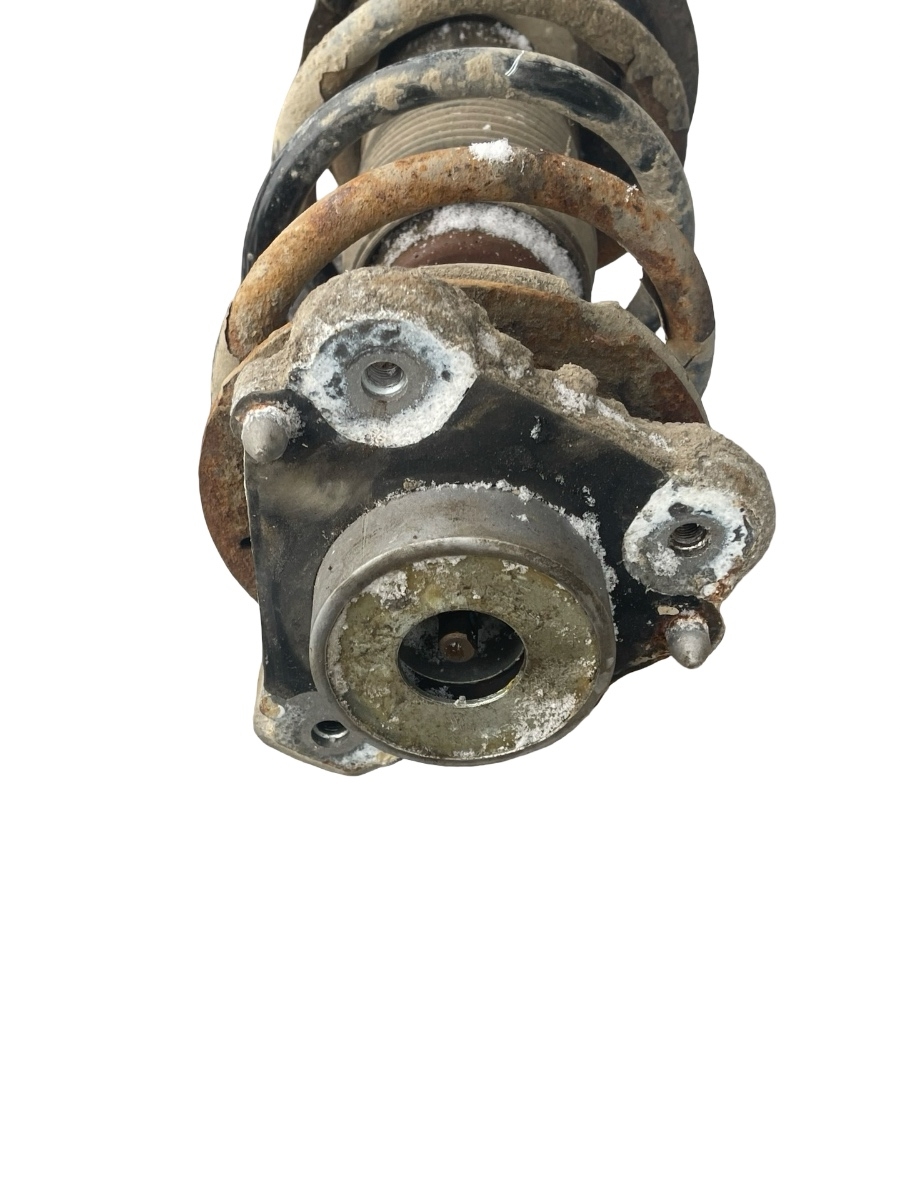 Amortizor fata dreapta PEUGEOT BOXER Box 2006 - > 3.0 HDi F1CE0481D (F30DT) – foto 2